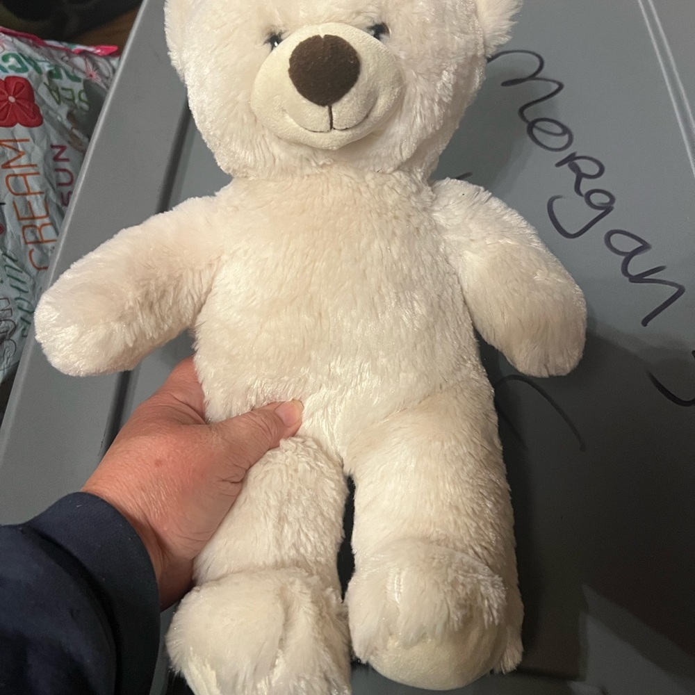 Build a bear White Plush Teddy Bear